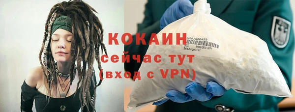 индика Абаза