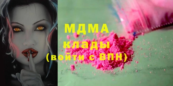 индика Абаза