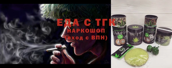 индика Абаза
