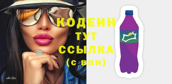 индика Абаза