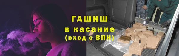 индика Абаза