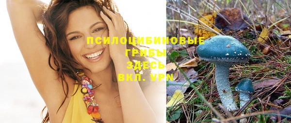 прущие грибы Абдулино