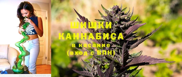 прущие грибы Абдулино