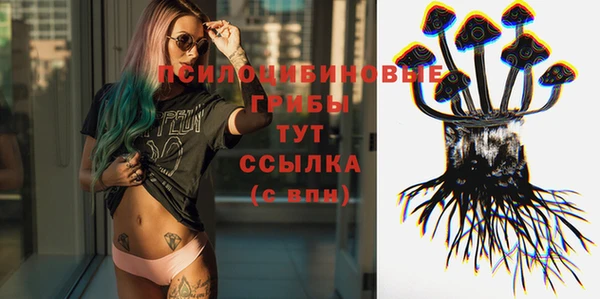 индика Абаза