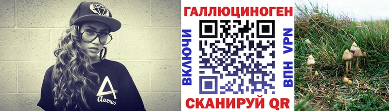кракен зеркало  купить наркоту  Пошехонье  Галлюциногенные грибы Psilocybine cubensis 